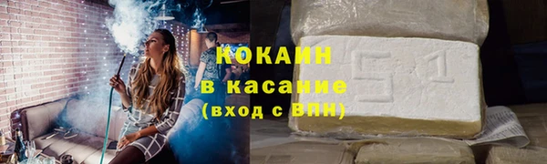 шишки Горнозаводск
