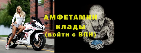 шишки Горнозаводск