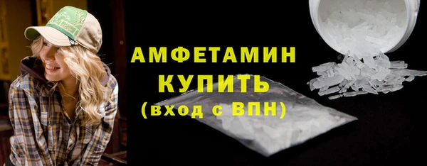 шишки Горнозаводск