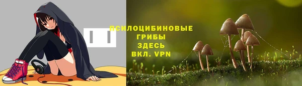 шишки Горнозаводск