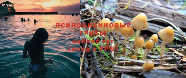 спайс Усмань