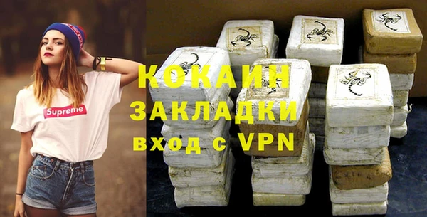 шишки Горнозаводск