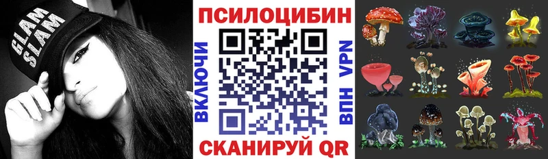 Псилоцибиновые грибы прущие грибы  где продают   Петровск 